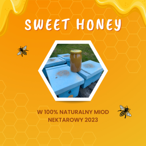 Miód nektarowy - wiosenny